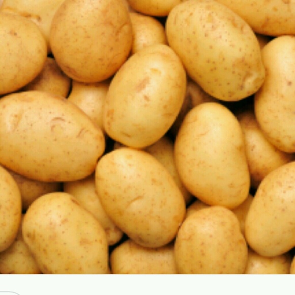 wild_potato